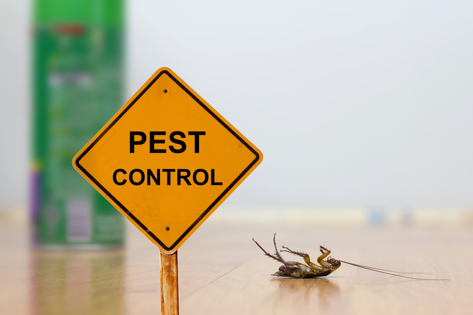 24 Hour Pest Control, Pest Control in Waltham Abbey, EN9. Call Now 020 8166 9746