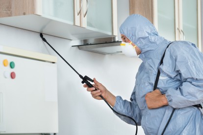 Home Pest Control, Pest Control in Waltham Abbey, EN9. Call Now 020 8166 9746