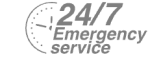 24/7 Emergency Service Pest Control in Waltham Abbey, EN9. Call Now! 020 8166 9746